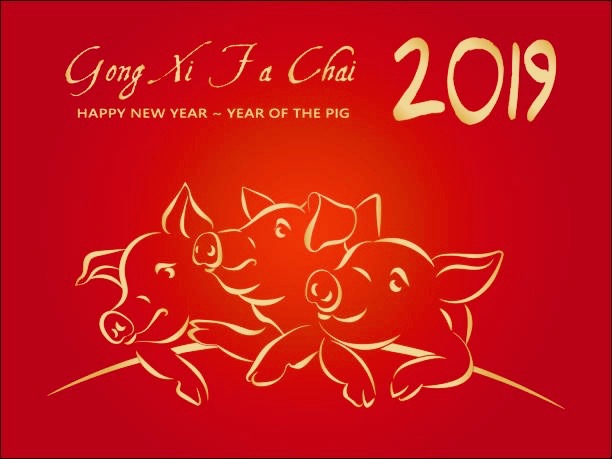 Kung Hei Fat Choi! (Year of the Pig).jpeg